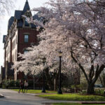 Tufts University Academic Calendar 2024 2025