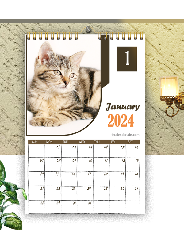 Cat Calendar 2024 Printable 2024 CALENDAR PRINTABLE