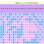 Chinese Calendar Baby Gender 2024 To 2025 To 2024 Sandi Lurlene