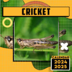 Cricket Calendar 2024 2025 24 Month Planner To Keep You On Track