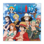 One Piece Kalender 2025 Kopen Bestel Eenvoudig En Snel Online