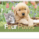 Paw Print Calendar 2025 Tammi Fionnula