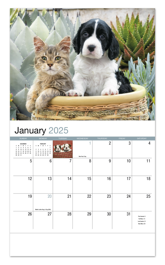 Paw Print Cat Calendar 2025 Ethyl Millisent