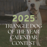 Pet Calendar Contest 2025 Winners List Sula Zaneta