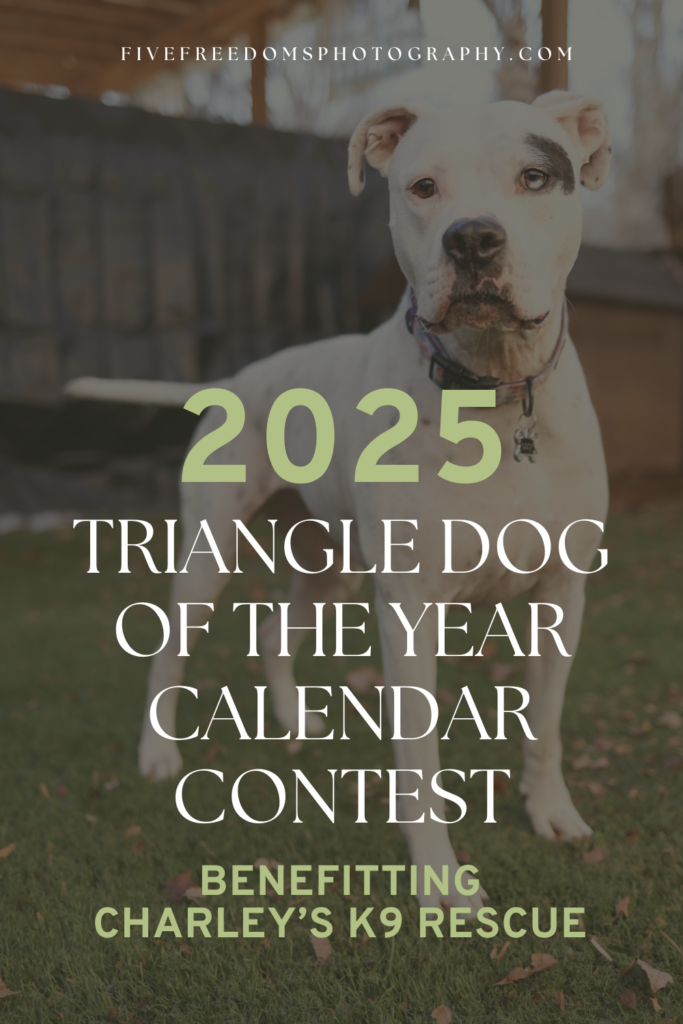 Pet Calendar Contest 2025 Winners List Sula Zaneta