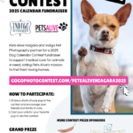 Photo Calendar Contest 2025 Pets Alive Niagara Indigo Pet Photography