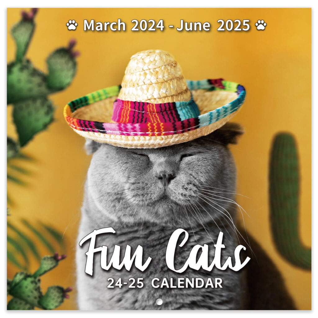 Snapklik 2024 2025 Wall Calendar Funny Cat Calendar 2024 2025 