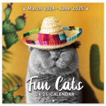 Snapklik 2024 2025 Wall Calendar Funny Cat Calendar 2024 2025